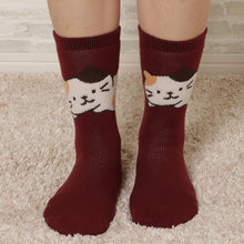  Fuku Fuku Nyanko裏起毛ソックス/ねそべり【3足税込1100円】
