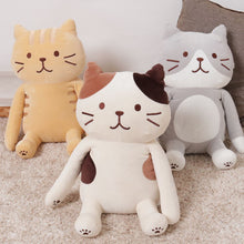  ふくふくにゃんこ 姿勢サポートクッション
