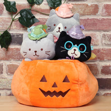 Fuku Fuku Nyanko 魔法使いおすわりマスコット
