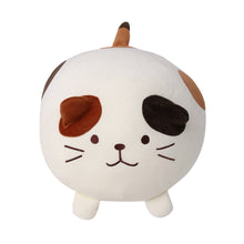  【予約販売】ふくふくにゃんこ 10周年記念まるまるクッション
