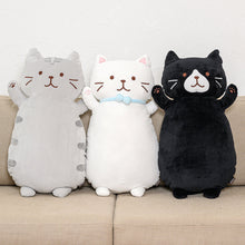  ふくふくにゃんこ もっちり抱きぐるみ【WEB限定】
