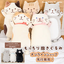  ふくふくにゃんこ もっちり抱きぐるみ【WEB限定】
