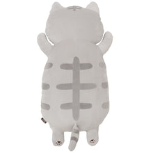  ふくふくにゃんこ もっちり抱きぐるみ【WEB限定】
