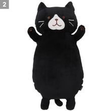  ふくふくにゃんこ もっちり抱きぐるみ【WEB限定】
